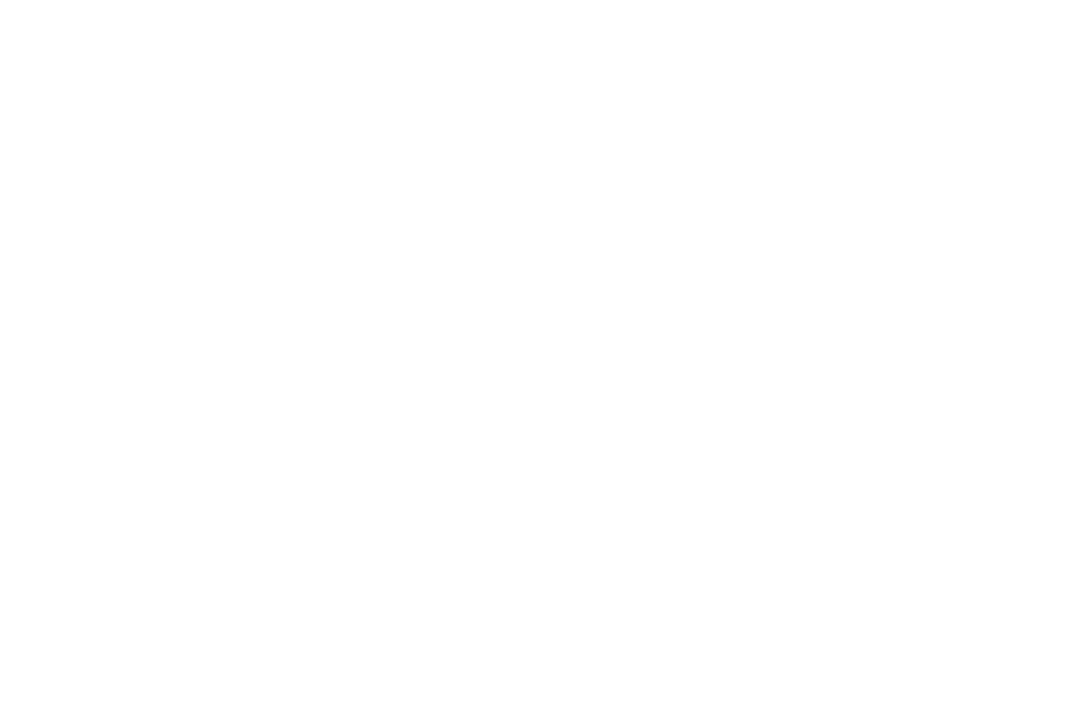 CUATICO STUDIO